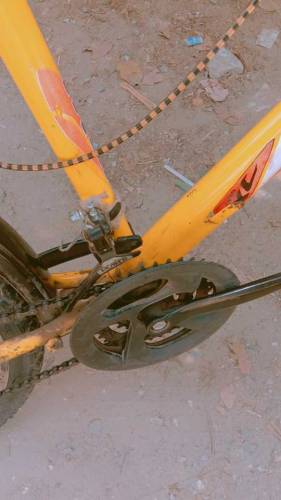 cycle for sale full size
