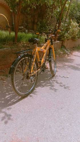 cycle for sale full size