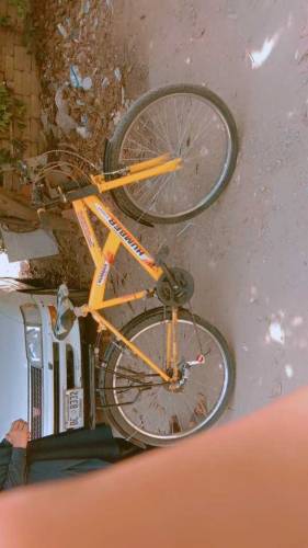 cycle for sale full size