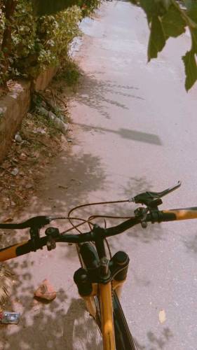 cycle for sale full size