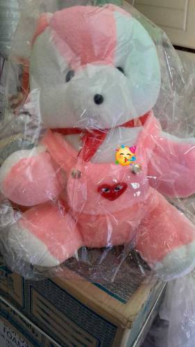 teddy Bear, stuff Toy 