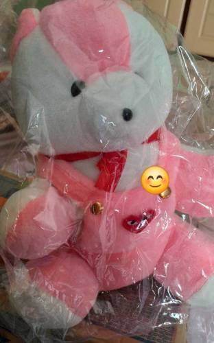 teddy Bear, stuff Toy 