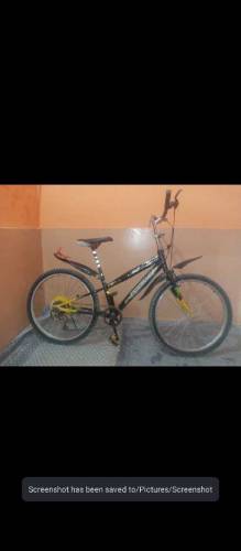 bicycal 