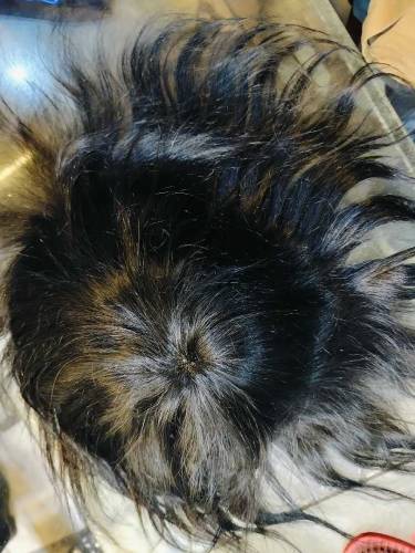 Hair Unit USA American 