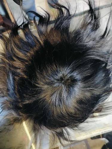 Hair Unit USA American 