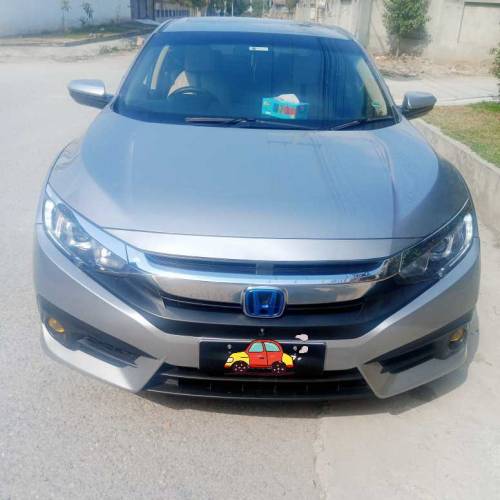 bumper to bumper original collar home usad car contact 