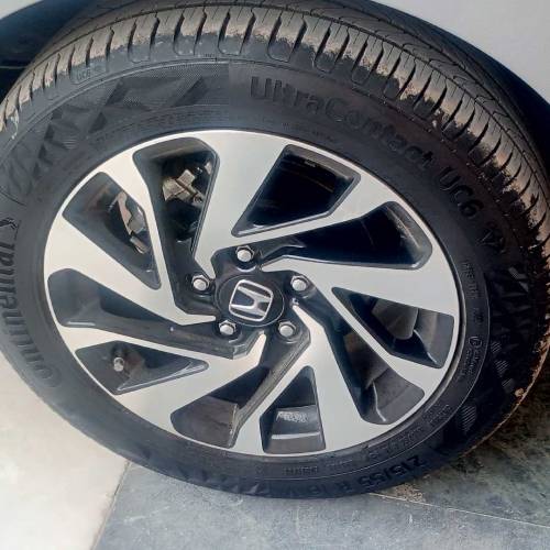 bumper to bumper original collar home usad car contact 