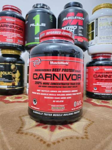 protein bodybuilder 