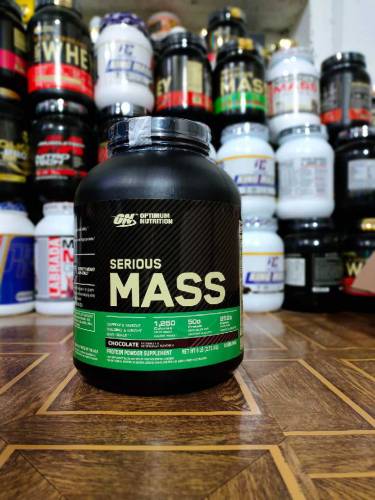 protein bodybuilder 