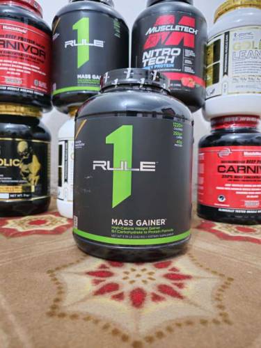 protein bodybuilder 