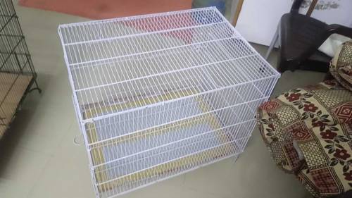2 Cage with birds