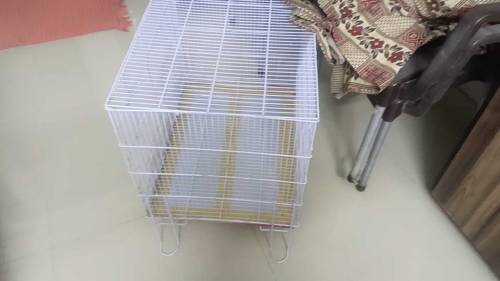 2 Cage with birds