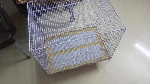 2 Cage with birds