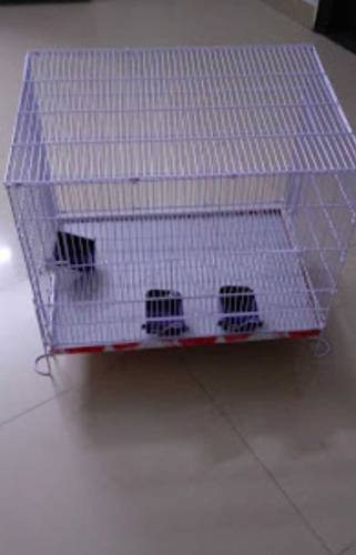2 Cage with birds