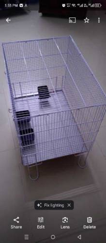 2 Cage with birds