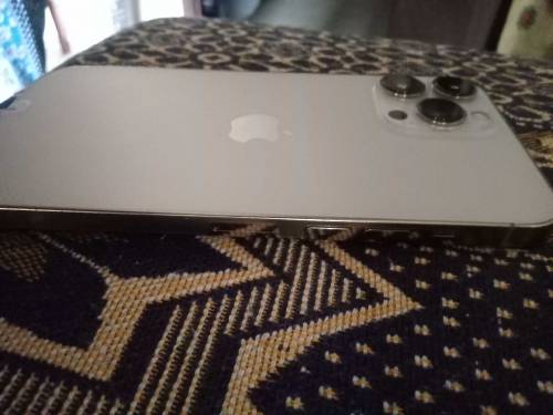 Iphone 13Pro Max 10/10