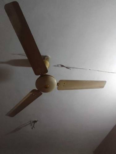 royal fan 220 volt