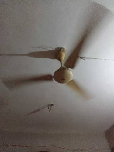 royal fan 220 volt