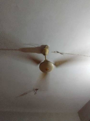 royal fan 220 volt