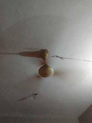 royal fan 220 volt