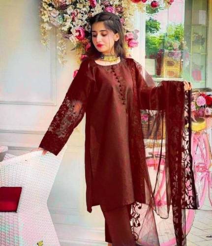 3Pcs Women's Stitched Organza Embroidered Suit 