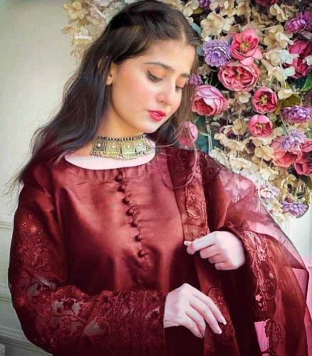 3Pcs Women's Stitched Organza Embroidered Suit 