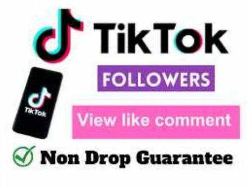 like followers and videos viewed 