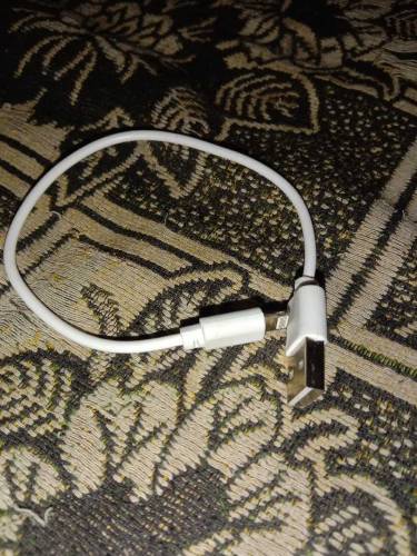 Earpods