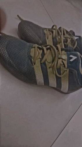 Adidas performance for sale 
