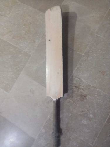 cricket bet