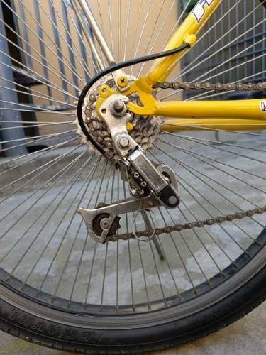Morgan cycle new modified 10/10 condition