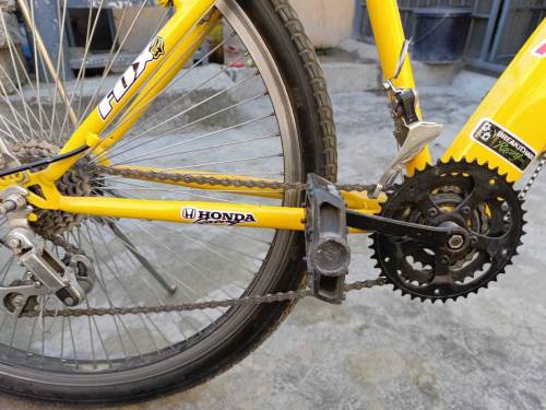 Morgan cycle new modified 10/10 condition