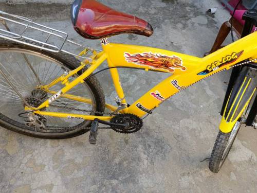 Morgan cycle new modified 10/10 condition