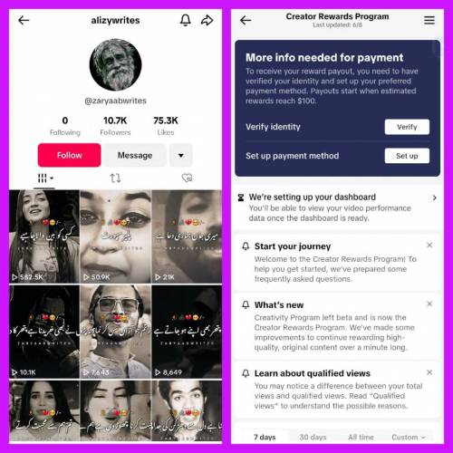 TikTok account usa monetized 