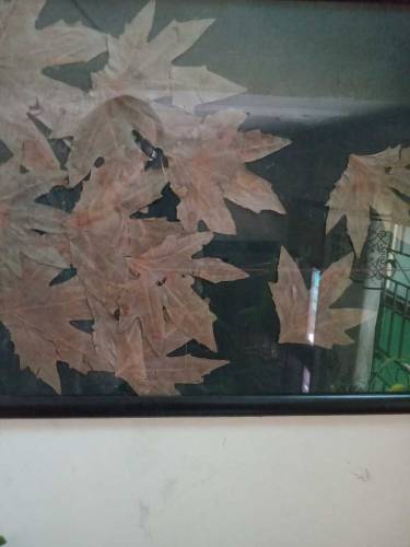 leave painting 