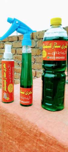 luster and Tayer luster