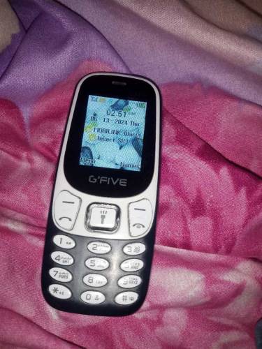 g five 3310