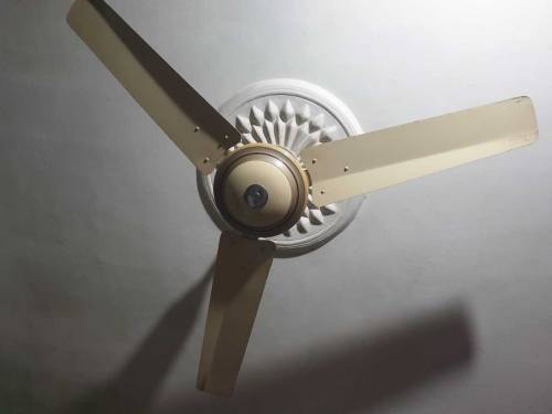 al-Shiekh fans 