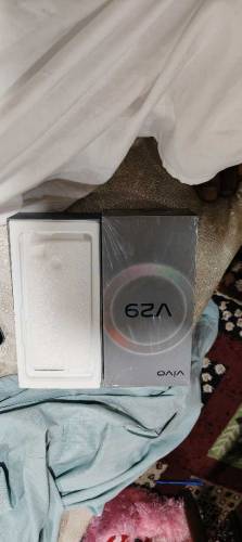 vivo v29 5g