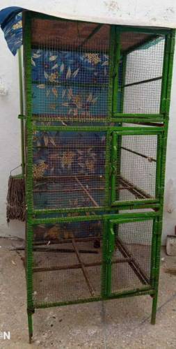 pinjra birds cage