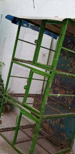 pinjra birds cage