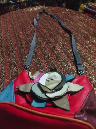 in low bugged lady bag