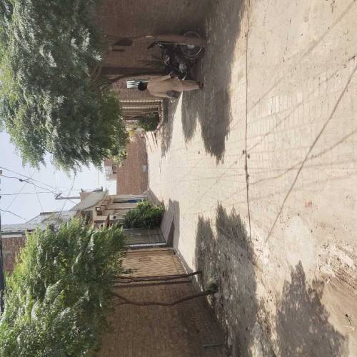 سینگل سٹوری