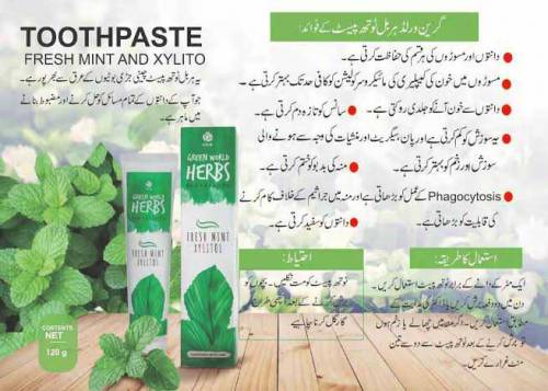 Herb toothpaste