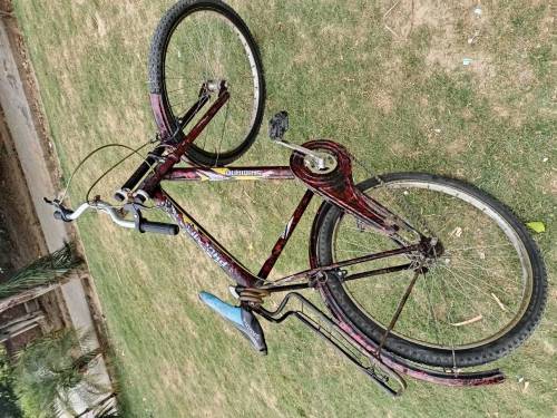 Bicycle 