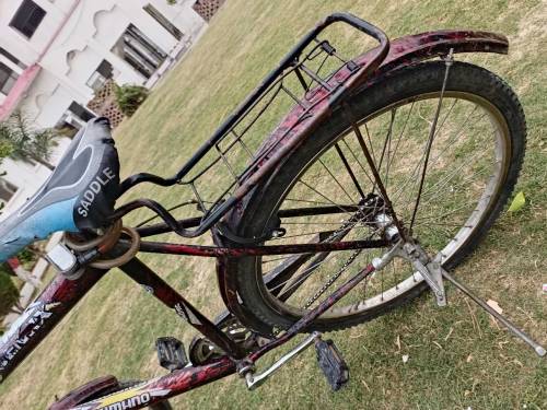 Bicycle 
