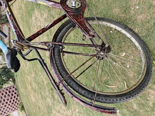 Bicycle 