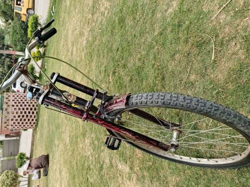 Bicycle 