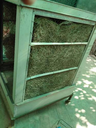 Air Cooler with Copper Wired Pump