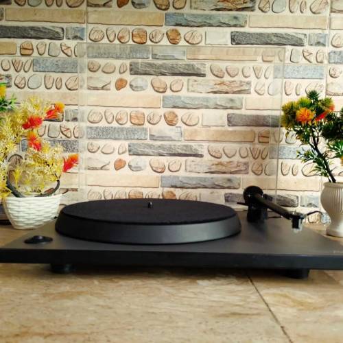 Rega P2  Turntable 